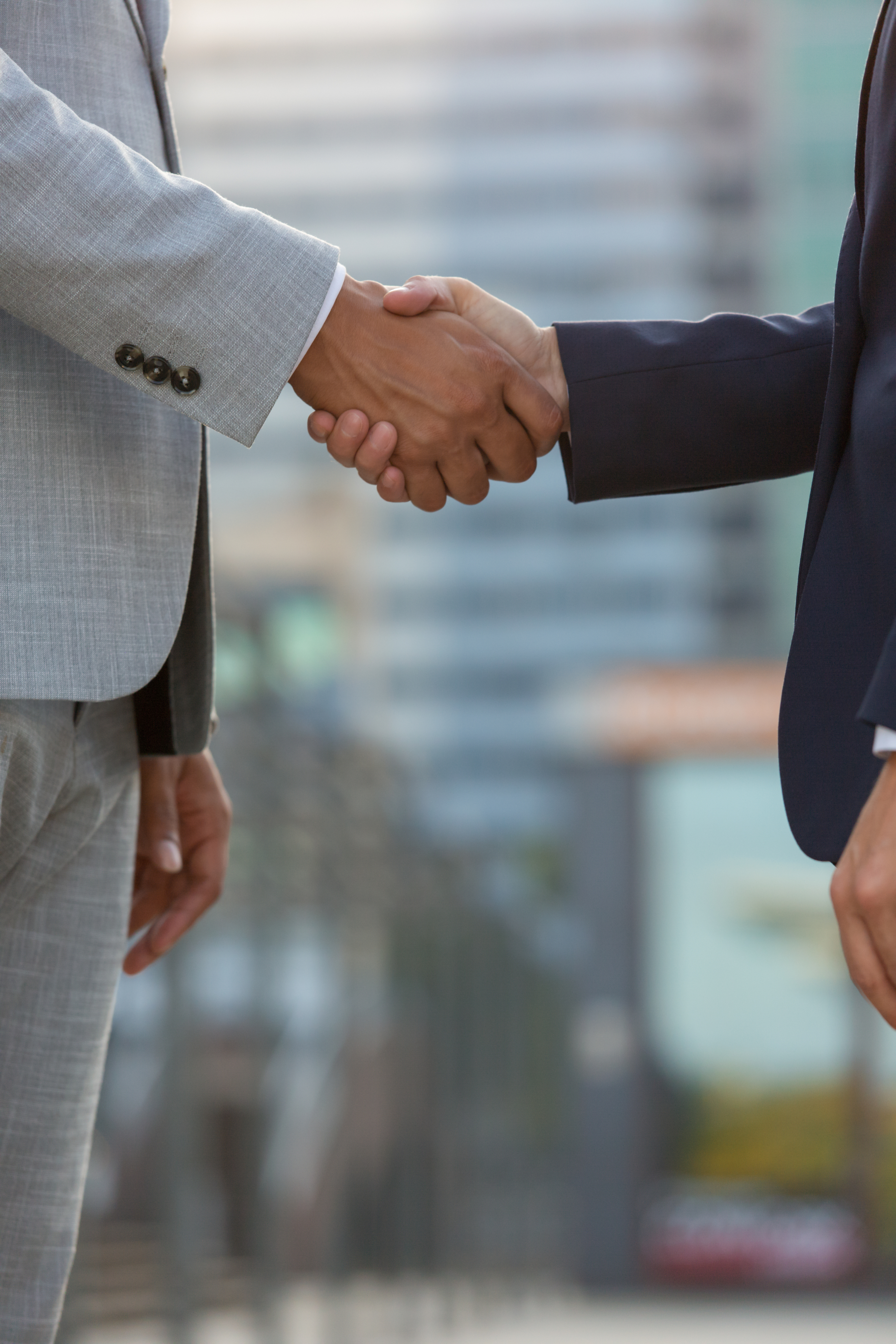 Two professionals shaking hands in partnership